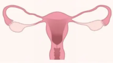 자궁경부암 예방의 중요성